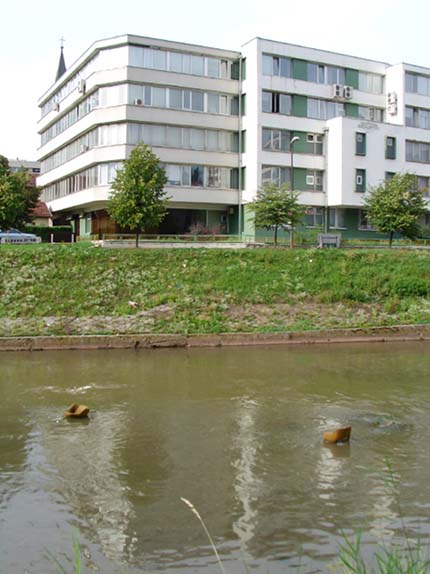 Senad Kapo: Predizborna šuplja o čistoj rijeci Miljacki – Jubilarnih 10 godina predstavljanja istog projekta